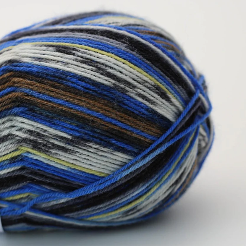 Arne & Carlos Socks & More Collection 4ply Bamble color